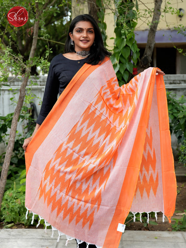 Meera Singh